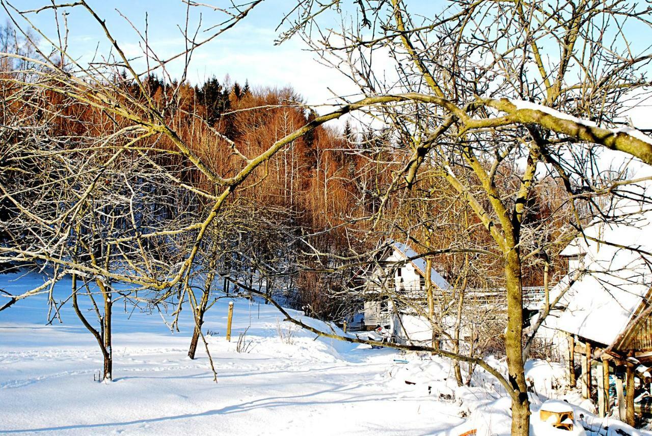 Villa Biotanika à Michalkowa Extérieur photo